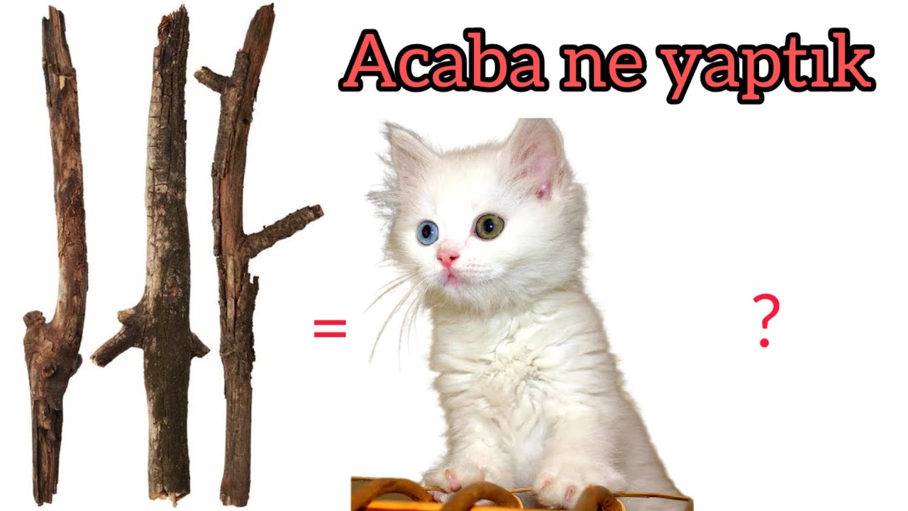 Geri dönüşüm / Kedi tırmalama tahtası yapımı / How to make cat