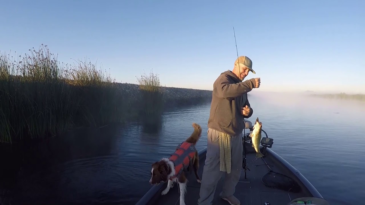 Improve Your Bass Fishing: Listen to the Bass