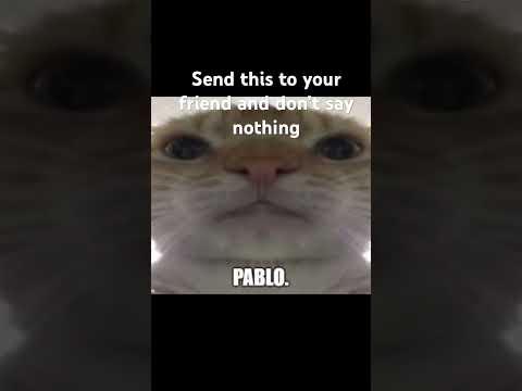 Pablo
