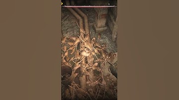 This Is Not a Bug, It