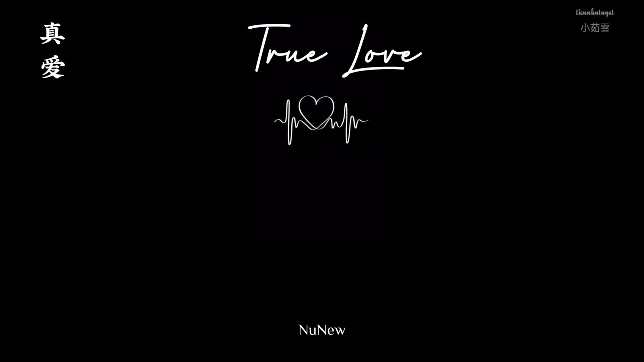 [Lyrics+Pinyin+Vietsub] 真爱 - Chinese Version I รักแท้ - True Love I NuNew (ost.To Sir, With Love)