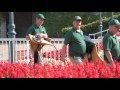 Vol 2   Arlington International Employee Memories 2015