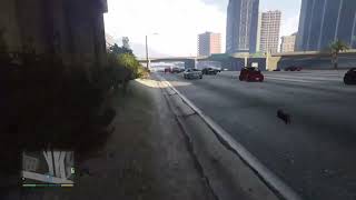 Cat Gets Run Over By Car 😥