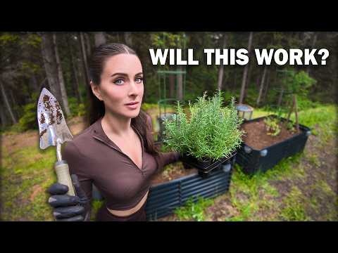 US vs. THE FOG - Our Attempt At Organic Coastal Gardening...