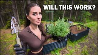 US vs. THE FOG - Our Attempt At Organic Coastal Gardening...