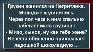 картинка: Грузин Взял Себе в Жены Негритянку! Подборка Лучших Анекдотов Синего Предела