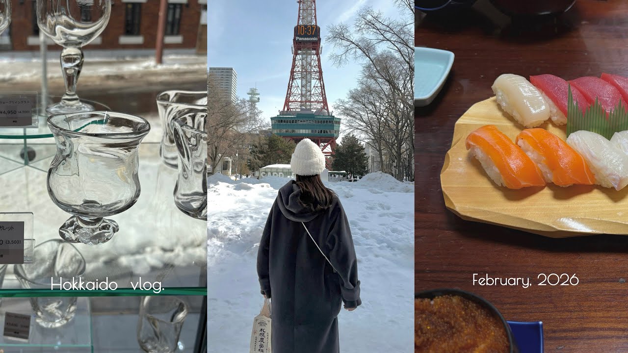 vlog. 冬の北海道旅行⛄️⋆꙳札幌~小樽2泊3日大満喫プラン❄️おすすめグルメ,お土産,観光💌