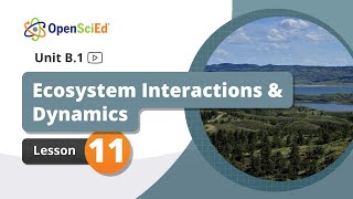 Unit B.1 Lesson 11 Planning Video | OpenSciEd On-Demand Resources