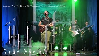 Инди-рок-группа True Forest