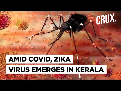 Video: Skvortsova Predlaga, Da Epidemiji Zika In Ebola Povzročajo Umetno - Alternativni Pogled