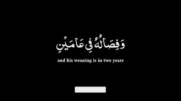 كروما شاشه سوداء 🍁ووصينا الإنسان بوالديه حملته أمه..🍁ماتيسر من سورة لقمان 🌿Surah Luqman🌿
