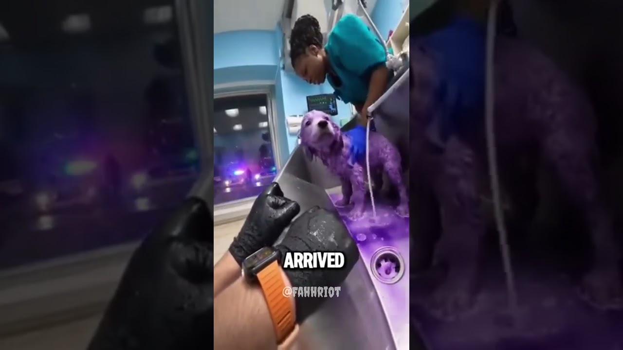 The Karen Left Her Dog on the tracks🤯😱