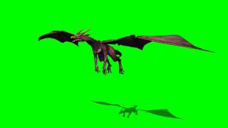 Dragon in fly - greenscreen effects - free use