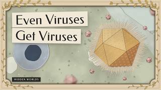 Even Viruses Get Viruses