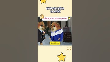 Càng chơi càng ra nước #cheems