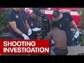 Multiple people shot by pellet gun in Phoenix