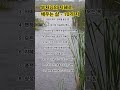 부처님의 지혜로 채우는 삶 - 10가 지 #부처님말씀 #자기수행 #명언 #마음공부 #좋은글 #마음의소리로쓰는글 #붓다의가르침 #지혜 #인생조언
