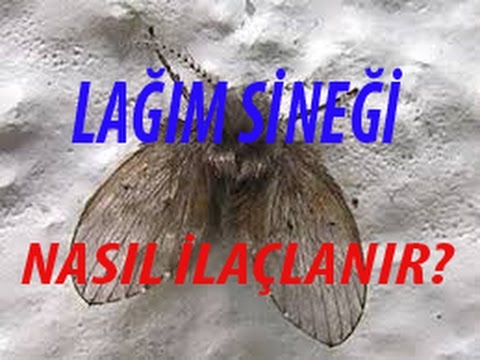 lağım