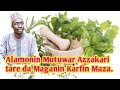 Maganin Saurin Inzali Mutuwar Azzakari Karfin Maza Alamomin Mutuwar Azzakari