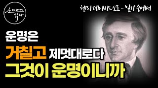 헨리 데이비드 소로의 명문장을 듣다ㅣ매일 읽는 헨리 데이비드 소로ㅣ자면서 듣는 오디오북ㅣ책 읽어주는 여자