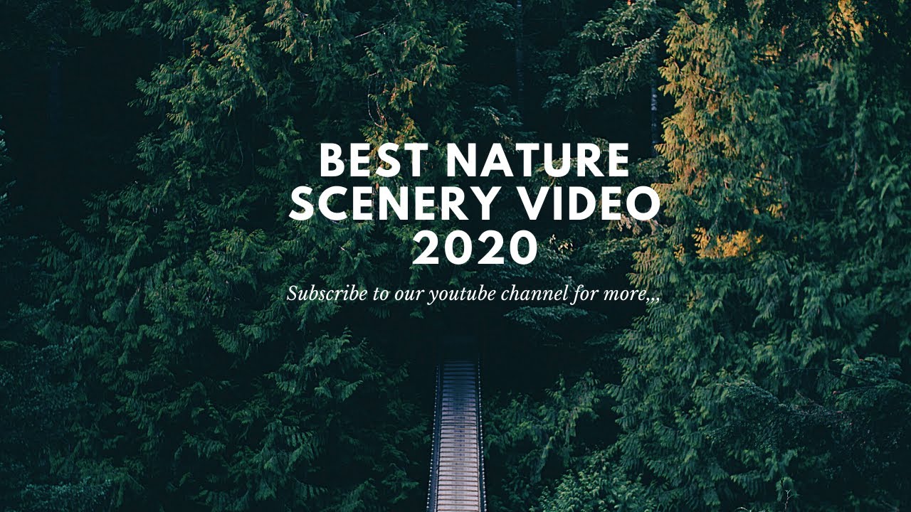 Nature Scenery BEST NATURE VIDEO 2020 YouTube