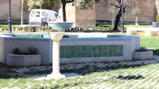 Inaugurado el jardin Presidente Adolfo Suarez de Palma del Rio