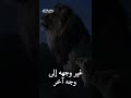 نحن في زمن الوجوه المتعددة والنفاق