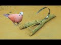 Easy creative bird trap  build simple bird trap using hand saw  wood