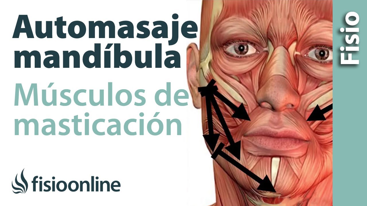 Automasaje de la mandíbula y musculatura de la masticación YouTube Automasaje de la mandíbula y musculatura de la masticación YouTube