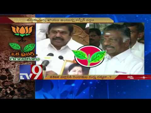 panneer-camp-confident-of-being-allotted-aiadmk-symbol---tv9