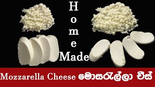 ️Mozzarella cheese|මොසරැල්ලා චීස් |Homemade Mozzarella Cheese|How to make cheese|Cheese recipe|චීස්