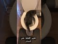 كيف تعود القطط على استخدام التواليت