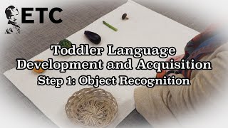 Famous Step 1 Object Recognition Net Worth