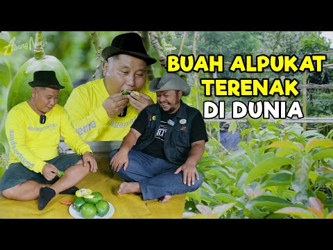 Jus Alpukat Terenak Di Jakarta