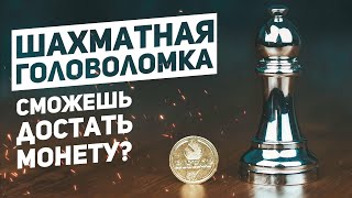 Слон - Шахматная Головоломка / Сможешь Открыть?