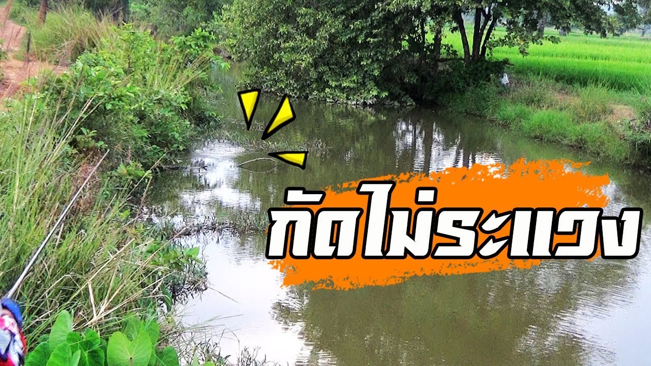 กบซุปตาร์ #เท่ห์เลยกระเทยบอก ตามมากัด ดังสนั่น BY Yod911 - YouTube