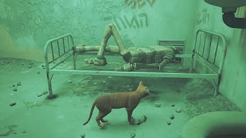 Stray - Chapter 11 Jail ( XBOX Walkthrough 1080p - No Commentary )