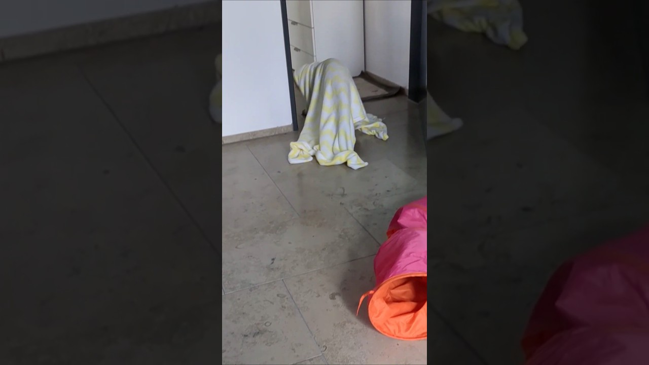 Ghost in our home 😱👻 