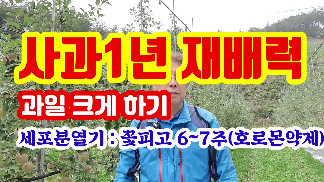 병해없이 과일크게 키우는 방법ㆍ시기