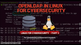 What Is OpenLDAP? Master Directory Services in Linux!