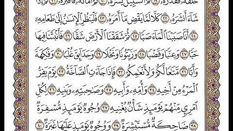 سورة عبس بصوت الشيخ وديع اليمني