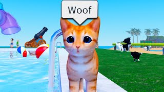 The Roblox Kitten Experience