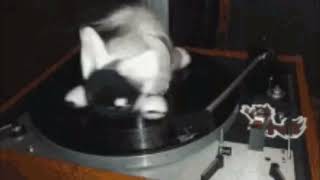 spin.mp4