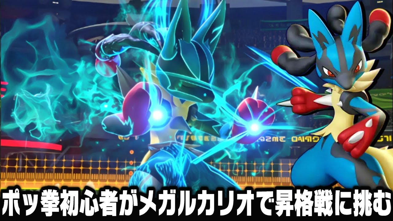 I've just gotten into the Pokémon fighting game 