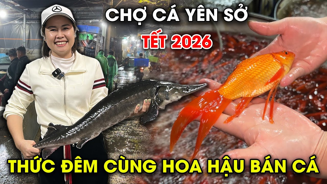 Chợ cá Yên Sở | Chợ cá lớn nhất Thủ đô, Cá Chép vàng đưa ông Táo về trời quá rẻ