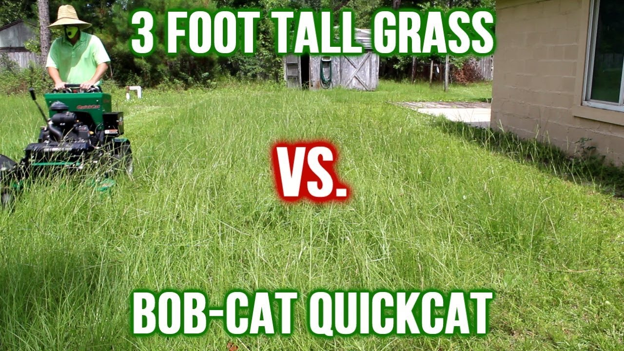 17 08 Mb Mowing Tall Grass On Vacant Property Oddly Satisfying Lawn Care Time Lapse Music Download Lagu Mp3 Gratis Mp3 Dragon