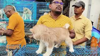 कुत्ता बाजार पक्षी बाजार🐕‍🦺🐕🐈🦜🦅🐧in Kolkata me#vlog