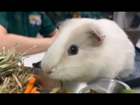 YouTube 動画のサムネイル