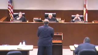 Reversal of a Domestic Violence Injunction*