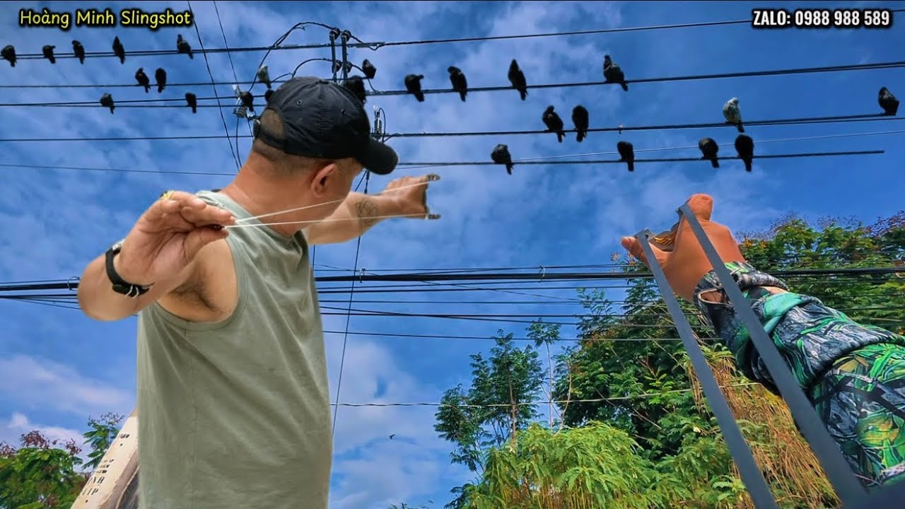 Ná cao su - Ra Đảo đi ăn Đi Săn || Phát Hiện Bầy Chim Khủng Khiếp mà không muốn về #nacaosu #hunting